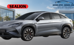 sealion 7 - shark gray